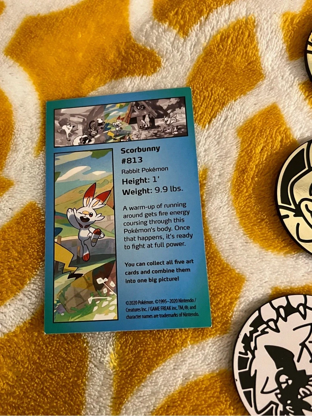 Pokemon pokémon tcg